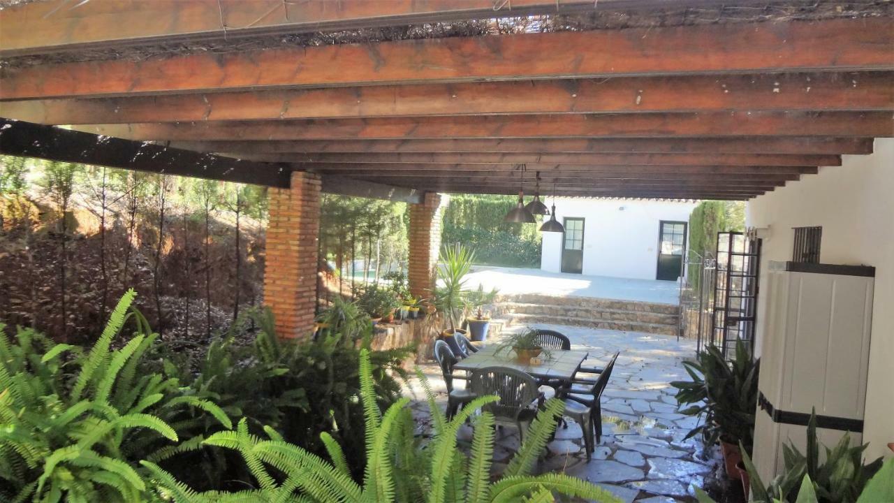 La Gallega *