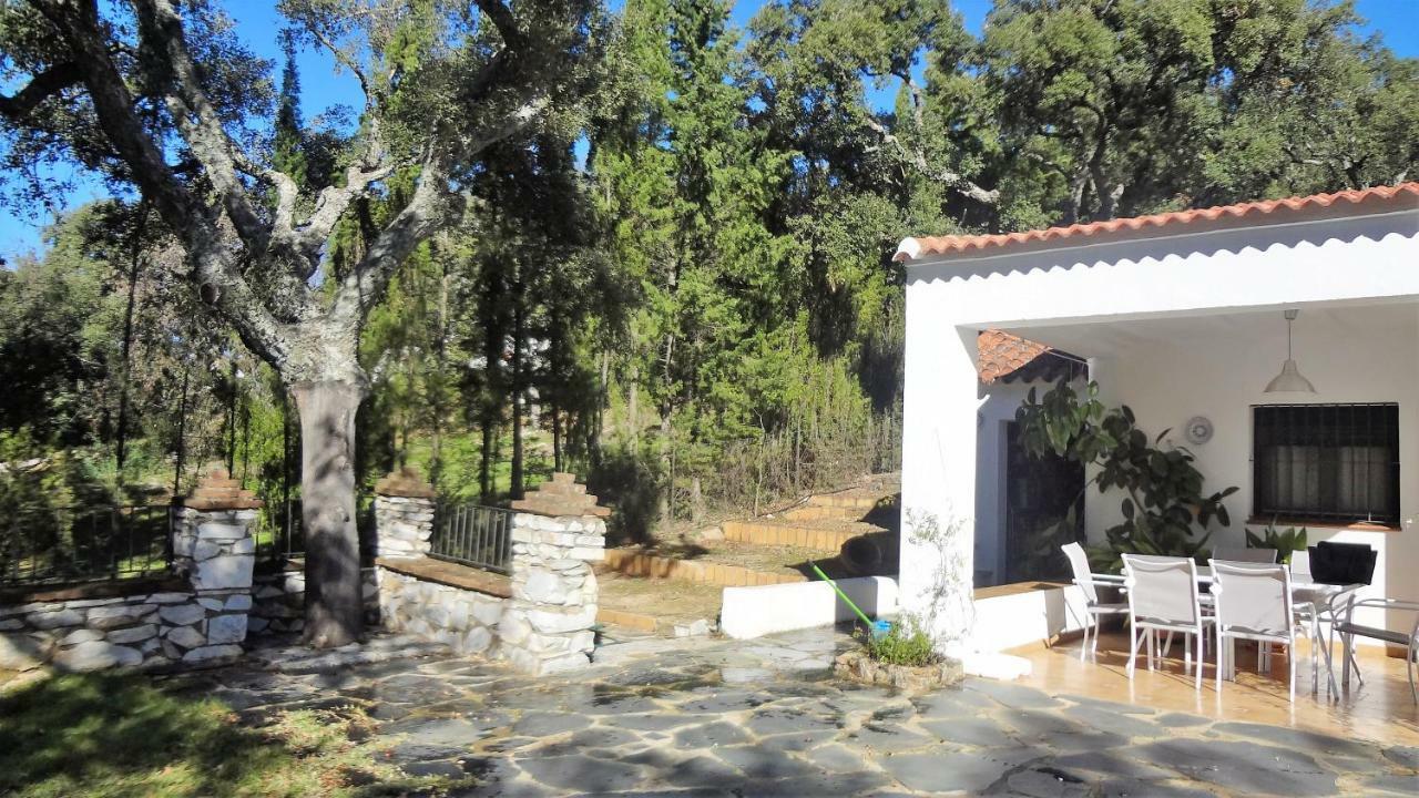 La Gallega * Aracena